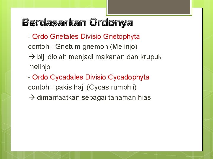 Berdasarkan Ordonya - Ordo Gnetales Divisio Gnetophyta contoh : Gnetum gnemon (Melinjo) biji diolah