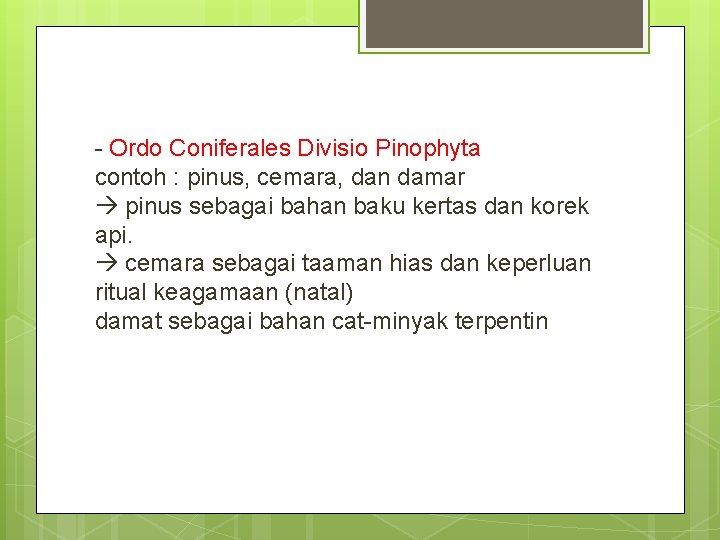 - Ordo Coniferales Divisio Pinophyta contoh : pinus, cemara, dan damar pinus sebagai bahan