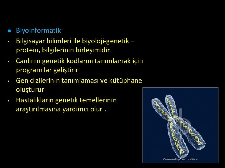 l • • Biyoinformatik Bilgisayar bilimleri ile biyoloji-genetik – protein, bilgilerinin birleşimidir. Canlının genetik