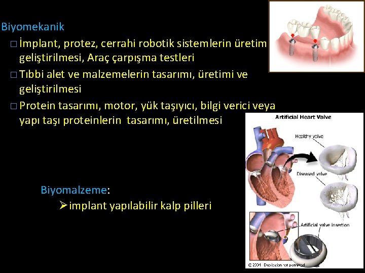 Biyomekanik � İmplant, protez, cerrahi robotik sistemlerin üretimi, geliştirilmesi, Araç çarpışma testleri � Tıbbi