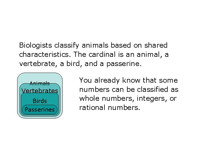 Biologists classify animals based on shared characteristics. The cardinal is an animal, a vertebrate,