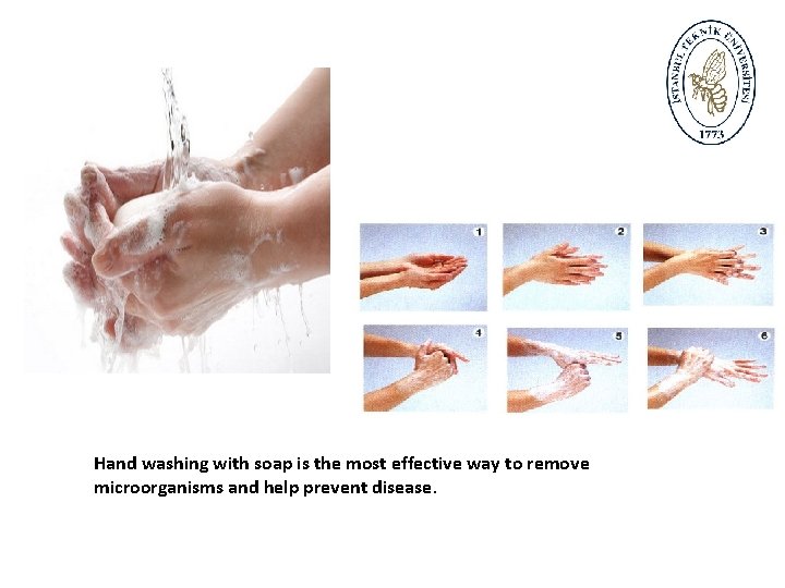 Hand washing with soap is the most effective way to remove microorganisms and help