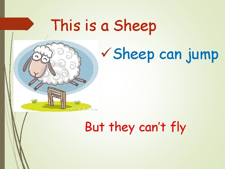 This is a Sheep üSheep can jump But they can’t fly 