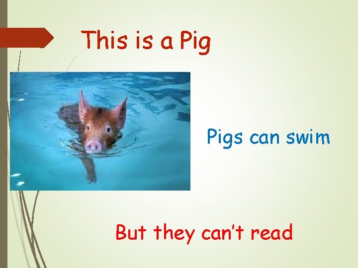 This is a Pigs can swim But they can’t read 