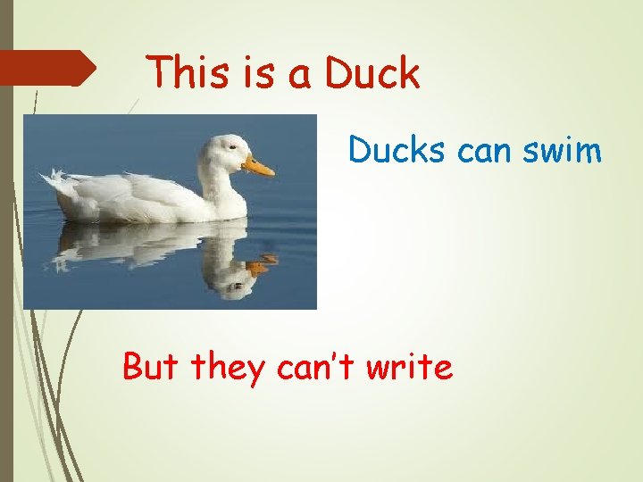 This is a Ducks can swim But they can’t write 