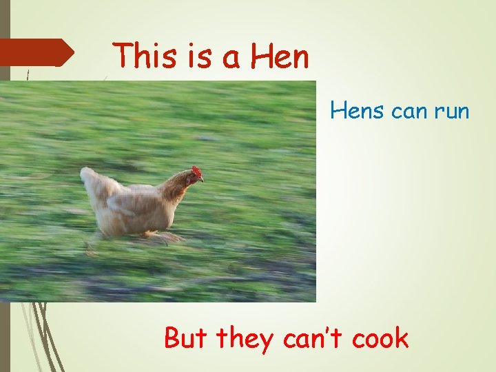 This is a Hens can run But they can’t cook 