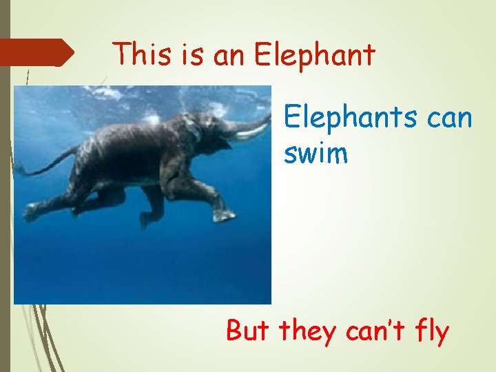 This is an Elephants can swim But they can’t fly 