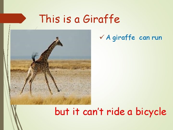 This is a Giraffe ü A giraffe can run but it can’t ride a