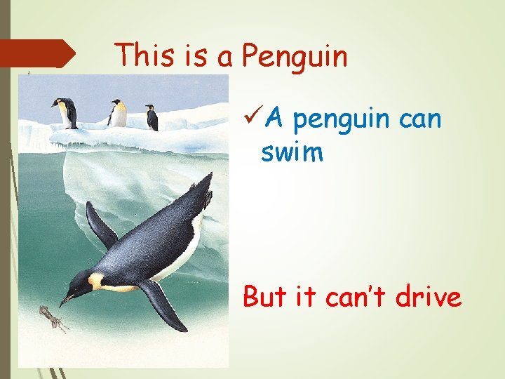 This is a Penguin üA penguin can swim But it can’t drive 