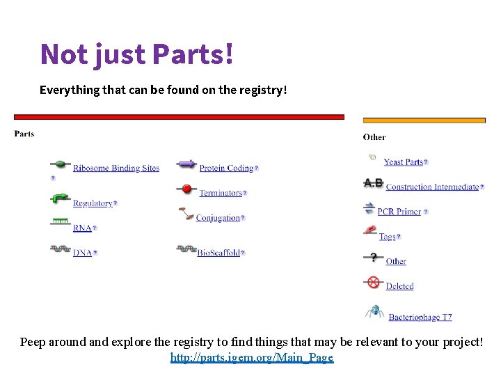 Not just Parts! Everything that can be found on the registry! Peep around and