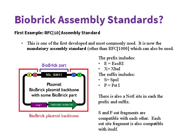 Biobrick Format more 101 May 21 st 2020