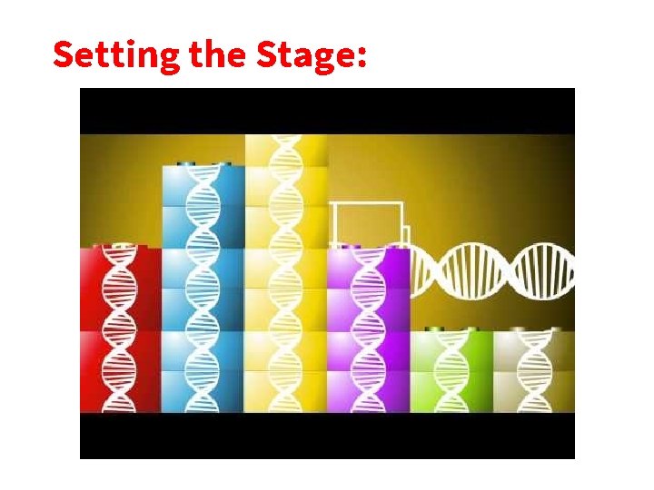 Setting the Stage: 