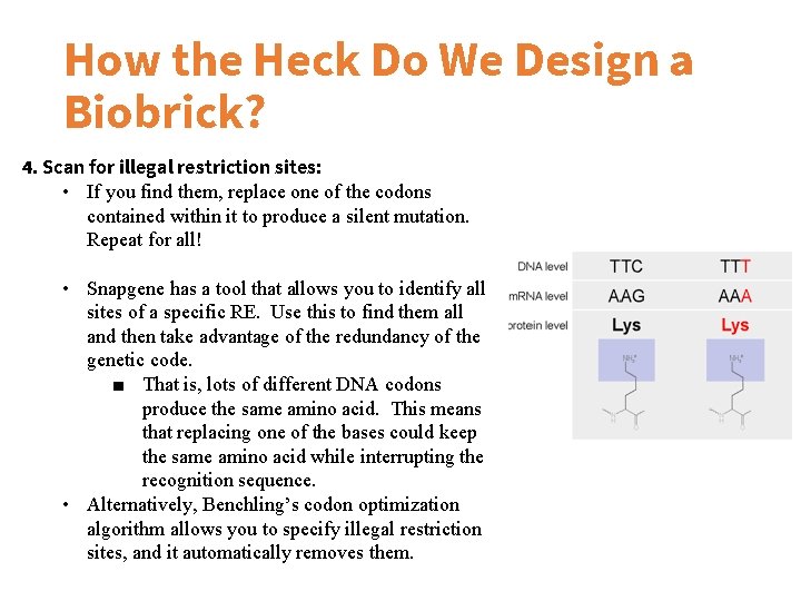 How the Heck Do We Design a Biobrick? 4. Scan for illegal restriction sites: