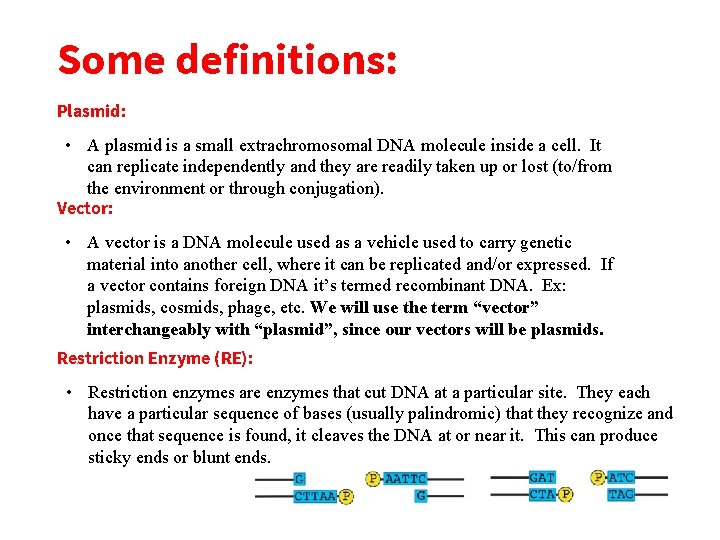 Some definitions: Plasmid: • A plasmid is a small extrachromosomal DNA molecule inside a