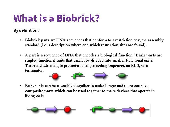 Biobrick Format more 101 May 21 st 2020