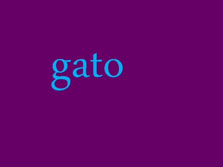 gato 