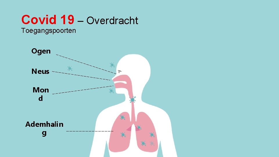 Covid 19 – Overdracht Toegangspoorten Ogen Neus Mon d Ademhalin g 