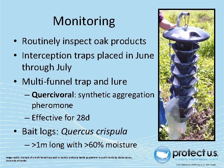 Monitoring • Routinely inspect oak products • Interception traps placed in June through July