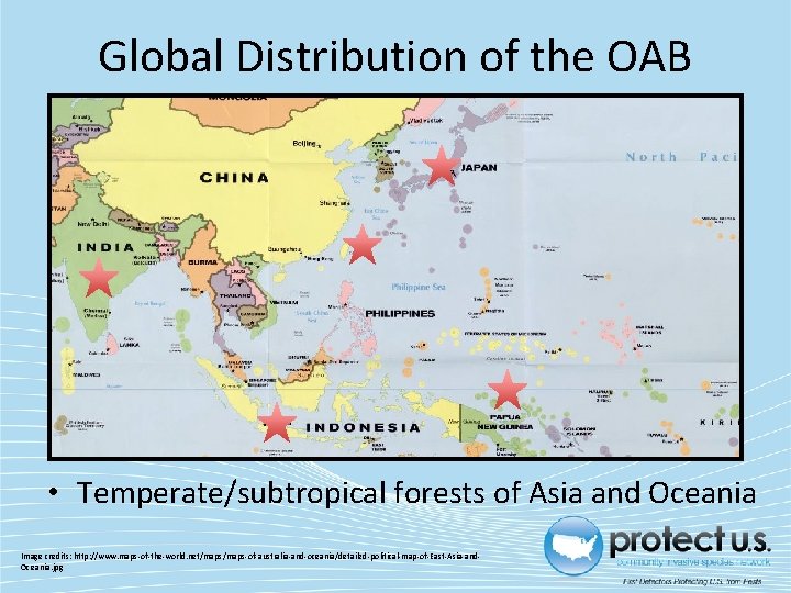 Global Distribution of the OAB • Temperate/subtropical forests of Asia and Oceania Image credits: