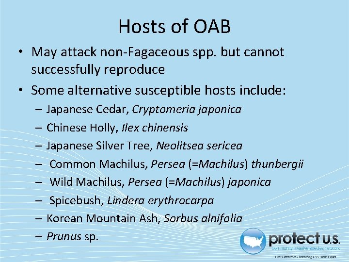 Hosts of OAB • May attack non-Fagaceous spp. but cannot successfully reproduce • Some