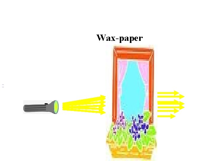 Wax-paper 