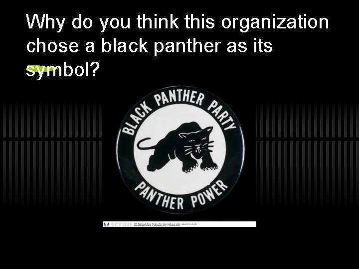 Why do you think this organization chose a black panther as its symbol? 