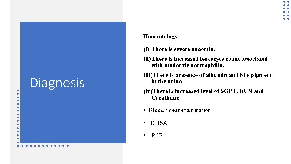 Haematology (i) There is severe anaemia. (ii) There is increased leucocyte count associated with