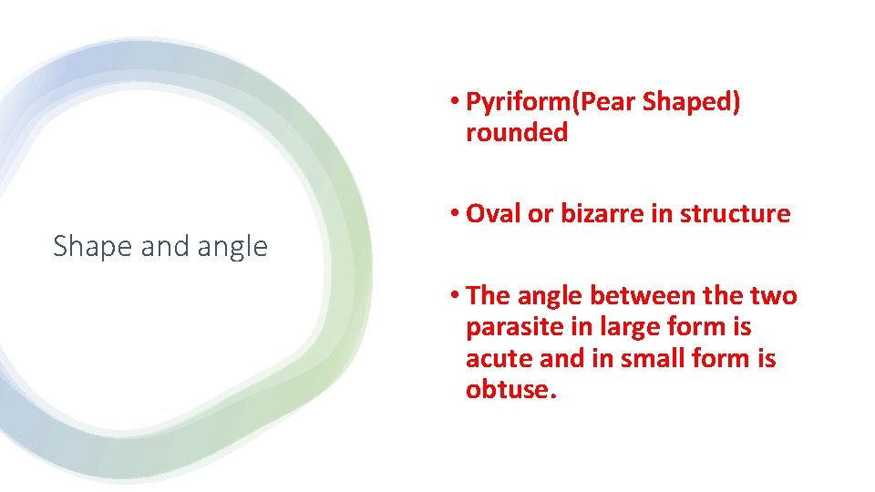  • Pyriform(Pear Shaped) rounded Shape and angle • Oval or bizarre in structure