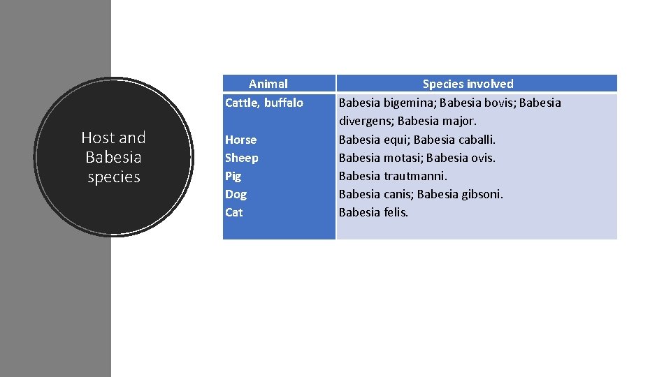 Host and Babesia species Animal Cattle, buffalo Horse Sheep Pig Dog Cat Species involved