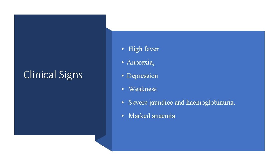  • High fever • Anorexia, Clinical Signs • Depression • Weakness. • Severe