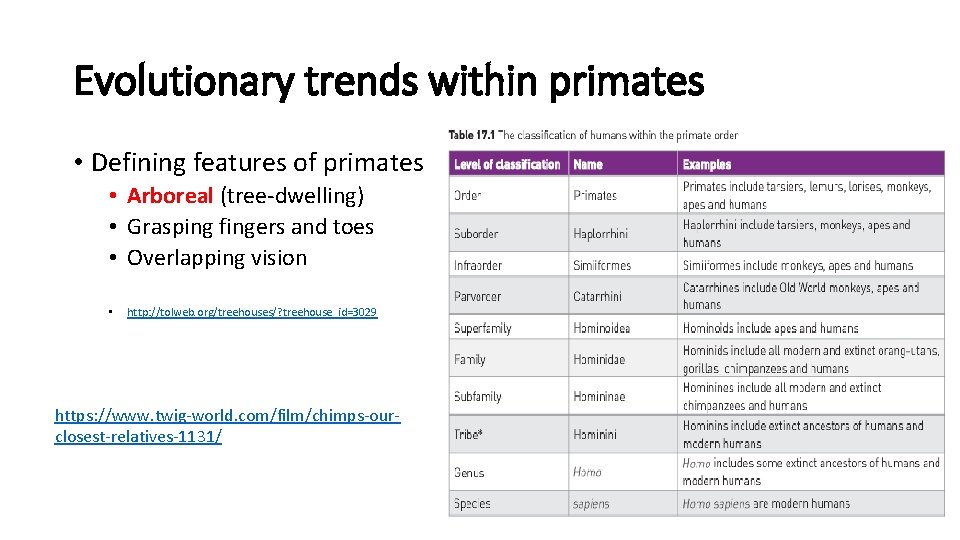 Evolutionary trends within primates • Defining features of primates • Arboreal (tree-dwelling) • Grasping