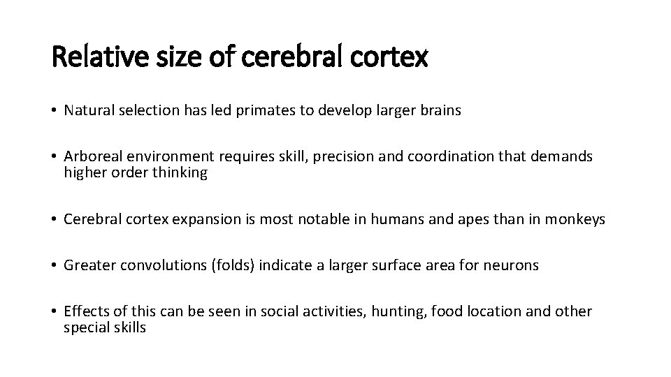 Relative size of cerebral cortex • Natural selection has led primates to develop larger