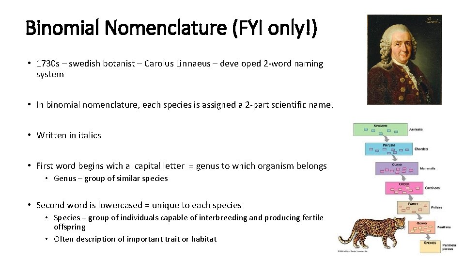 Binomial Nomenclature (FYI only!) • 1730 s – swedish botanist – Carolus Linnaeus –