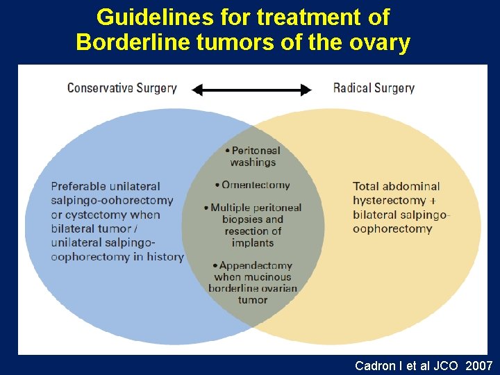 Guidelines for treatment of Borderline tumors of the ovary Cadron I et al JCO