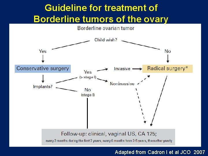 Guideline for treatment of Borderline tumors of the ovary Adapted from Cadron I et