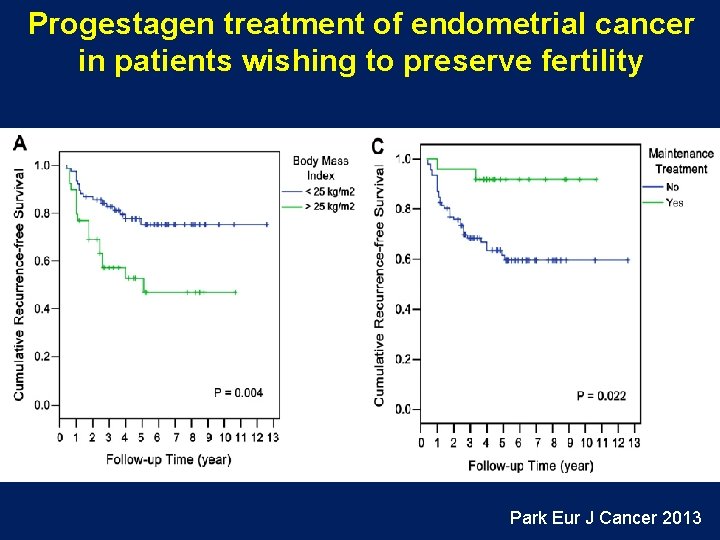 Progestagen treatment of endometrial cancer in patients wishing to preserve fertility Park Eur J