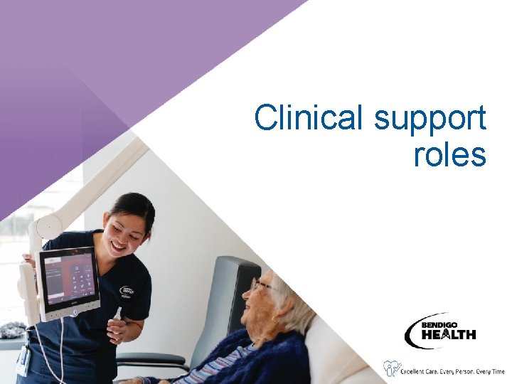 Clinical support roles 