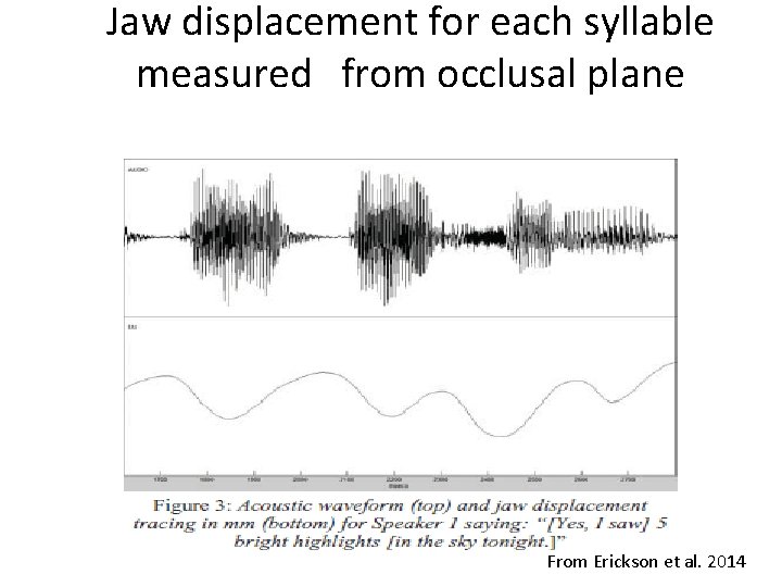 Jaw displacement for each syllable measured　from occlusal plane From Erickson et al. 2014 