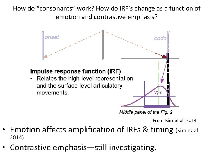 How do “consonants” work? How do IRF’s change as a function of emotion and