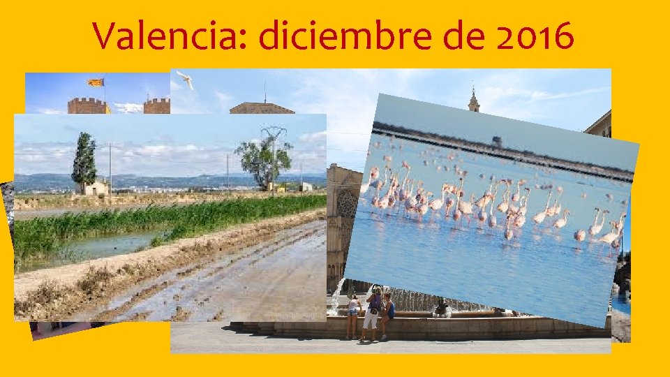 Valencia: diciembre de 2016 