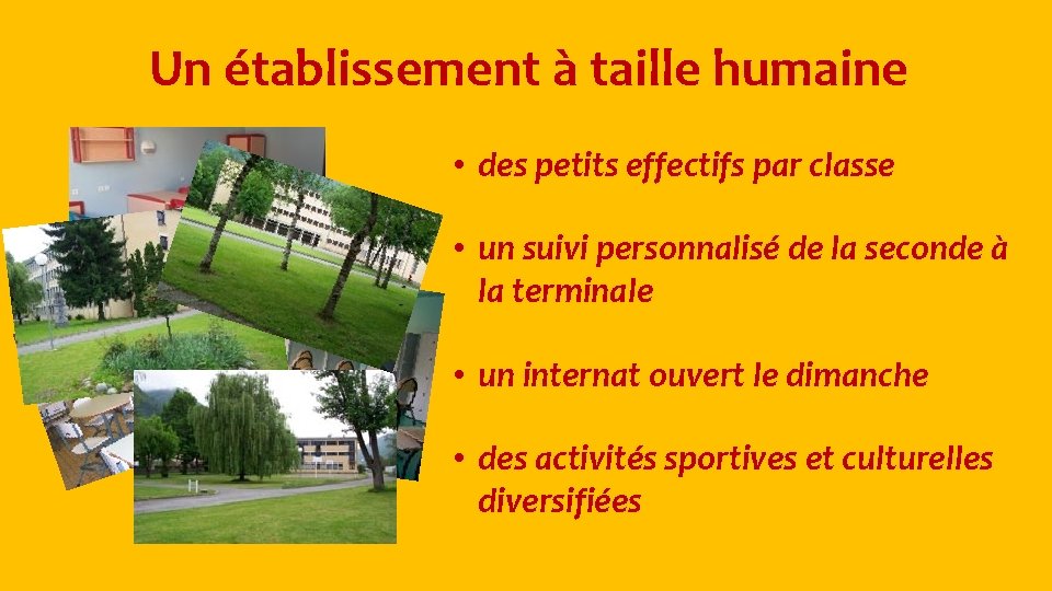 Un établissement à taille humaine • des petits effectifs par classe • un suivi