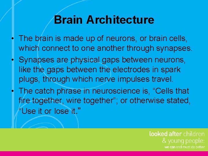 Brain Architecture • The brain is made up of neurons, or brain cells, which