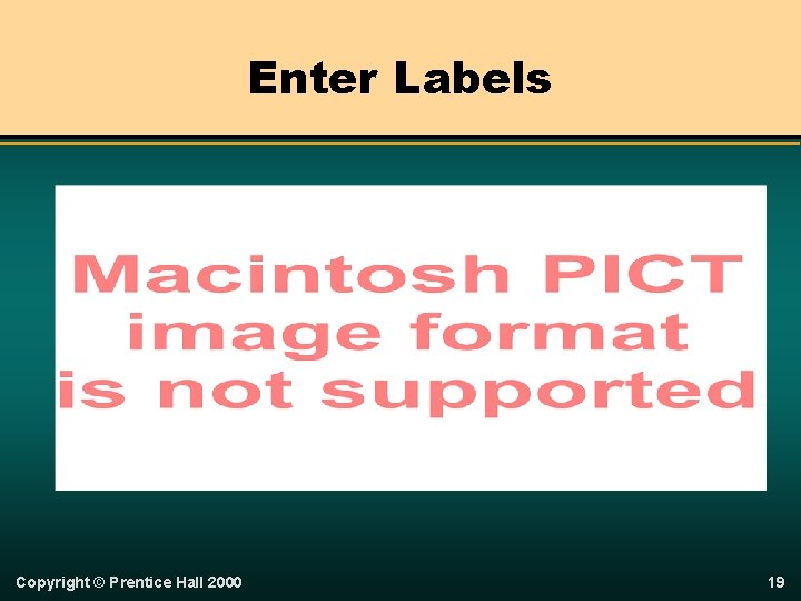 Enter Labels Copyright © Prentice Hall 2000 19 