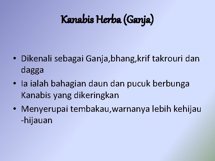 Kanabis Herba (Ganja) • Dikenali sebagai Ganja, bhang, krif takrouri dan dagga • Ia