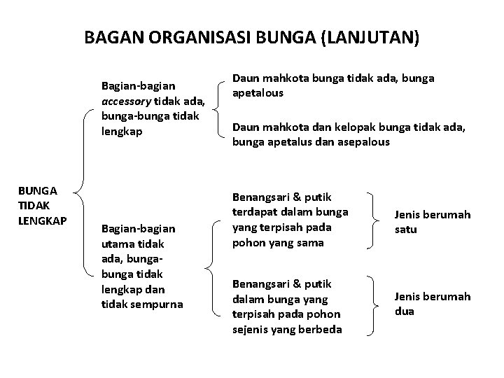 BAGAN ORGANISASI BUNGA (LANJUTAN) Bagian-bagian accessory tidak ada, bunga-bunga tidak lengkap BUNGA TIDAK LENGKAP