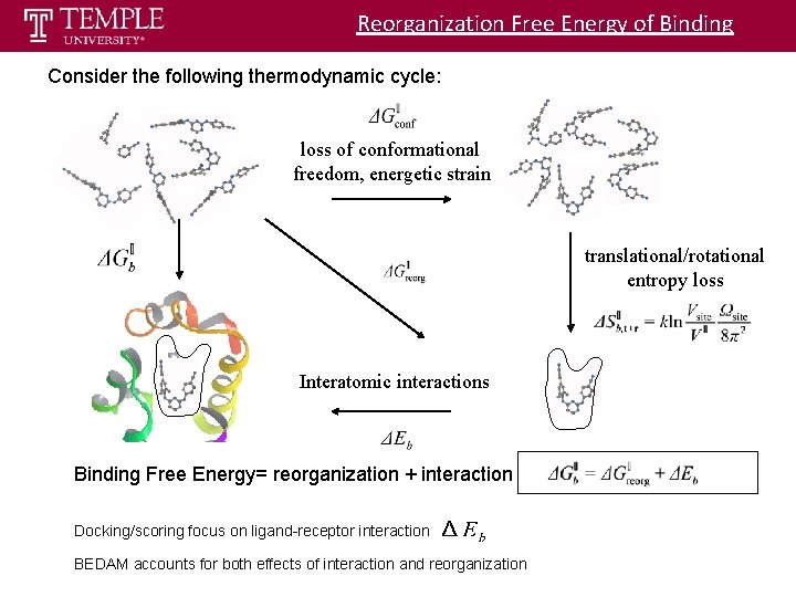 Reorganization Free Energy of Binding Consider the following thermodynamic cycle: loss of conformational freedom,