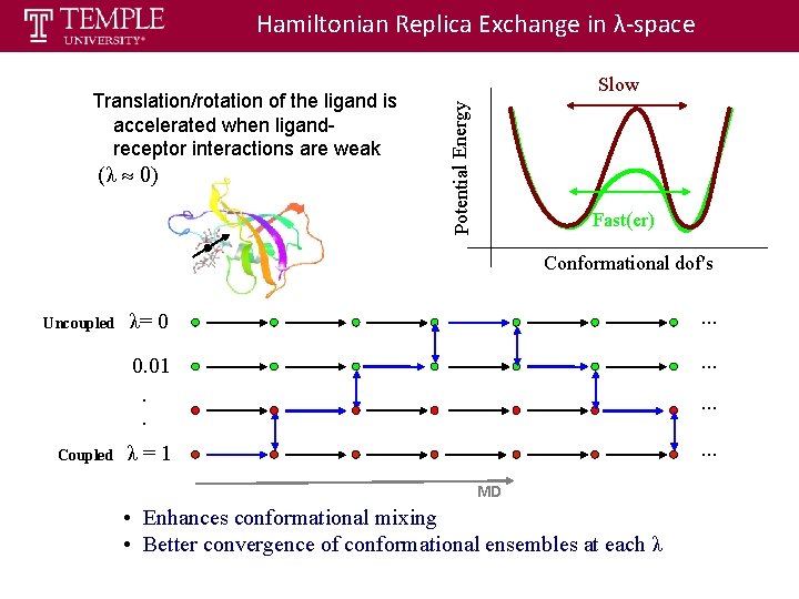 Hamiltonian Replica Exchange in λ-space (λ » 0) Potential Energy Translation/rotation of the ligand