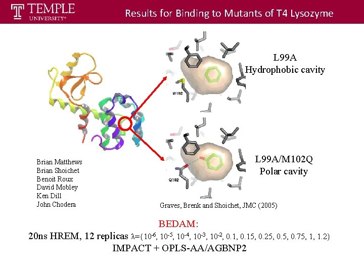 Results for Binding to Mutants of T 4 Lysozyme L 99 A Hydrophobic cavity