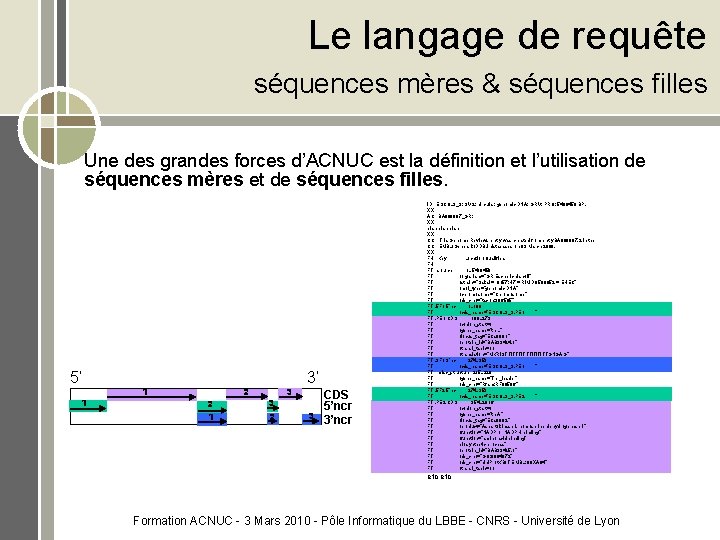 Le langage de requête séquences mères & séquences filles Une des grandes forces d’ACNUC