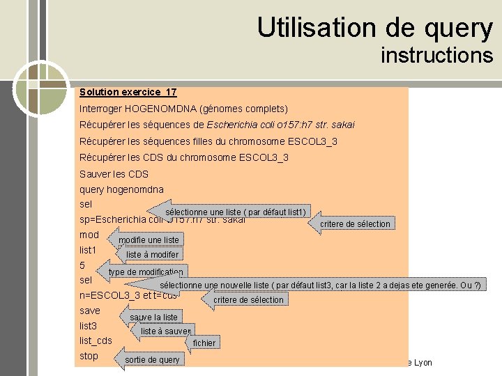 Utilisation de query instructions Solution exercice 17 Interroger HOGENOMDNA (génomes complets) Récupérer les séquences